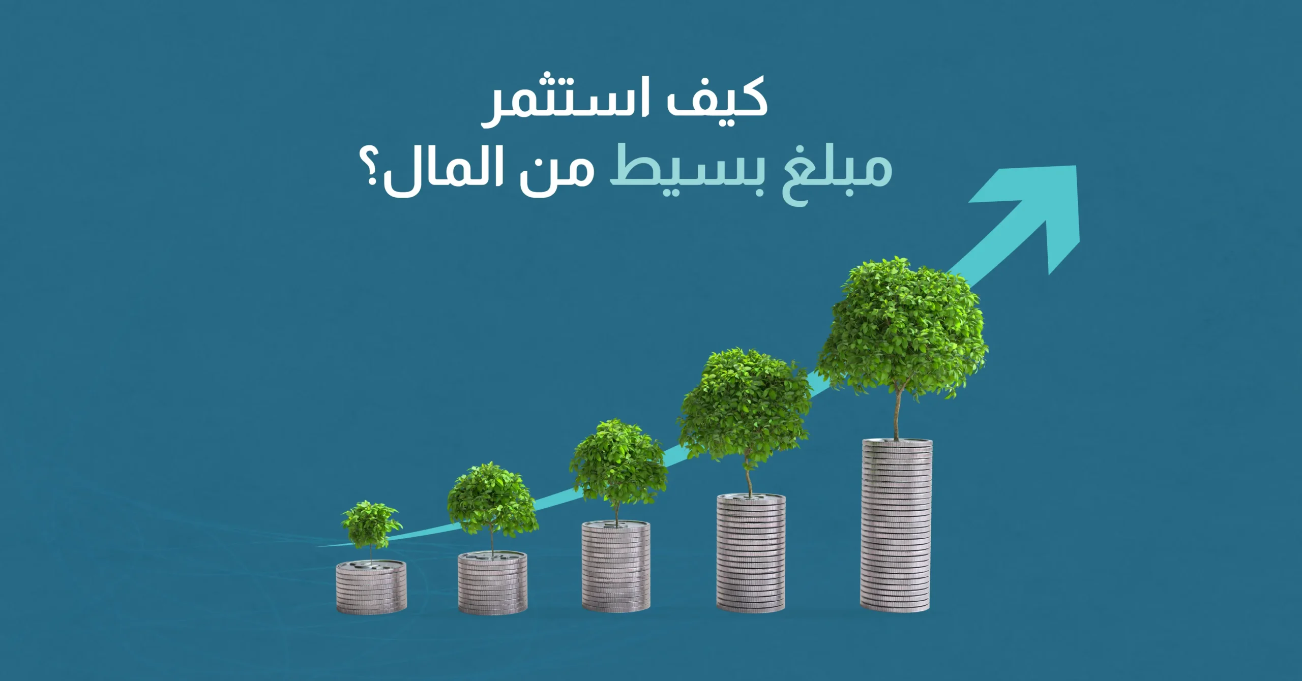 كيف استثمر مبلغ بسيط من المال