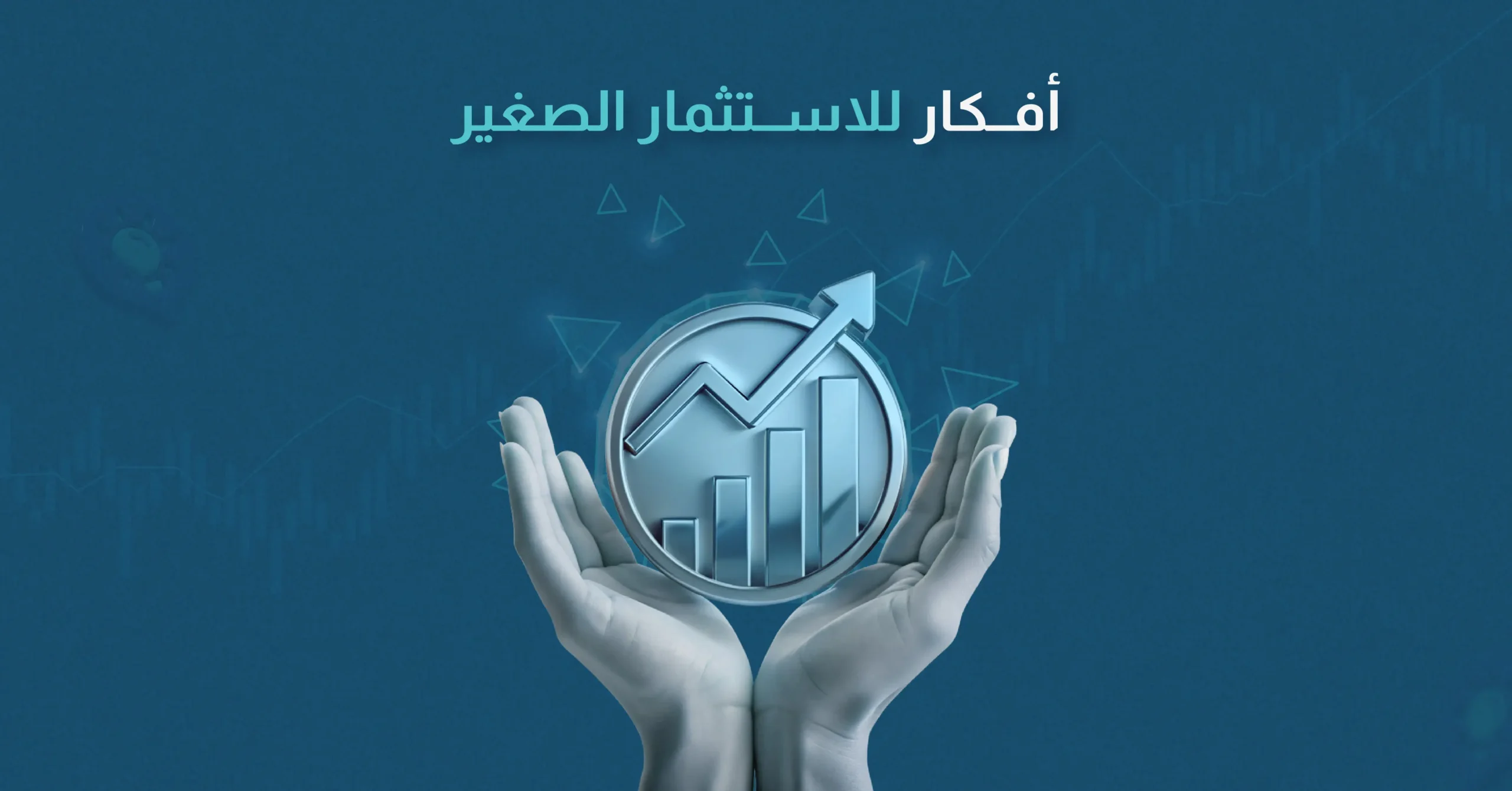 افكار للاستثمار الصغير