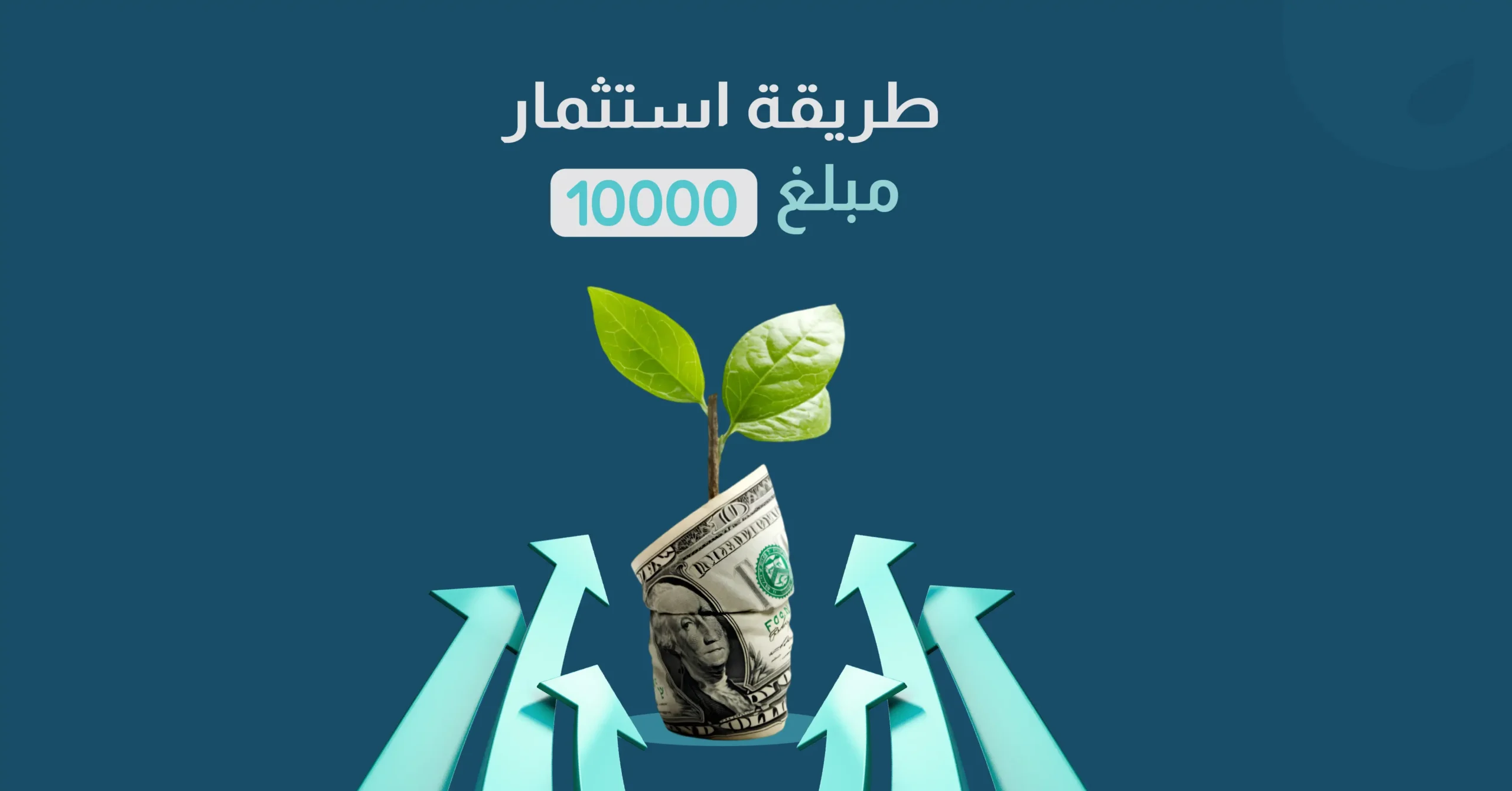 طريقة استثمار مبلغ 10000