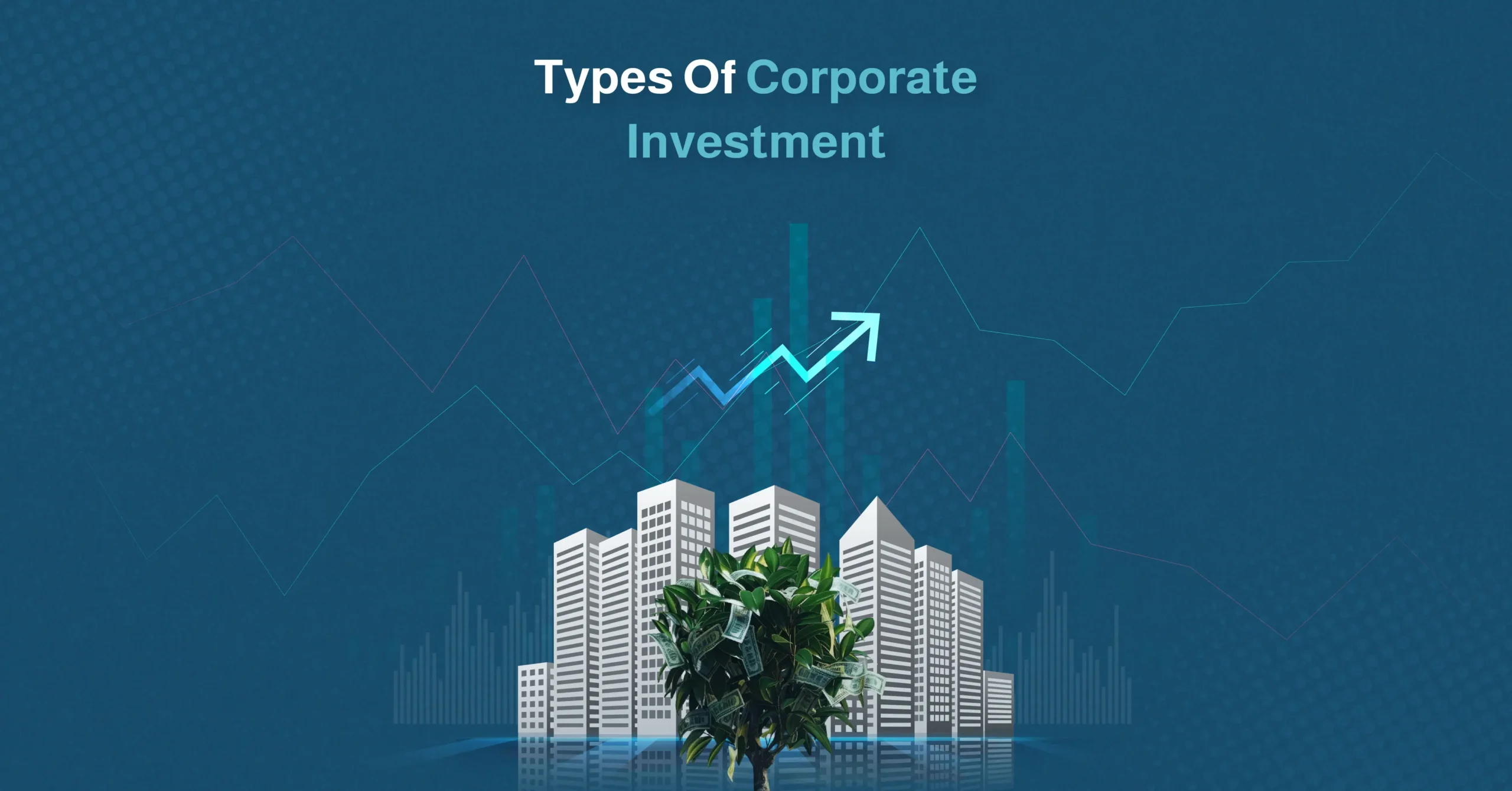 Types of Corporate Investment