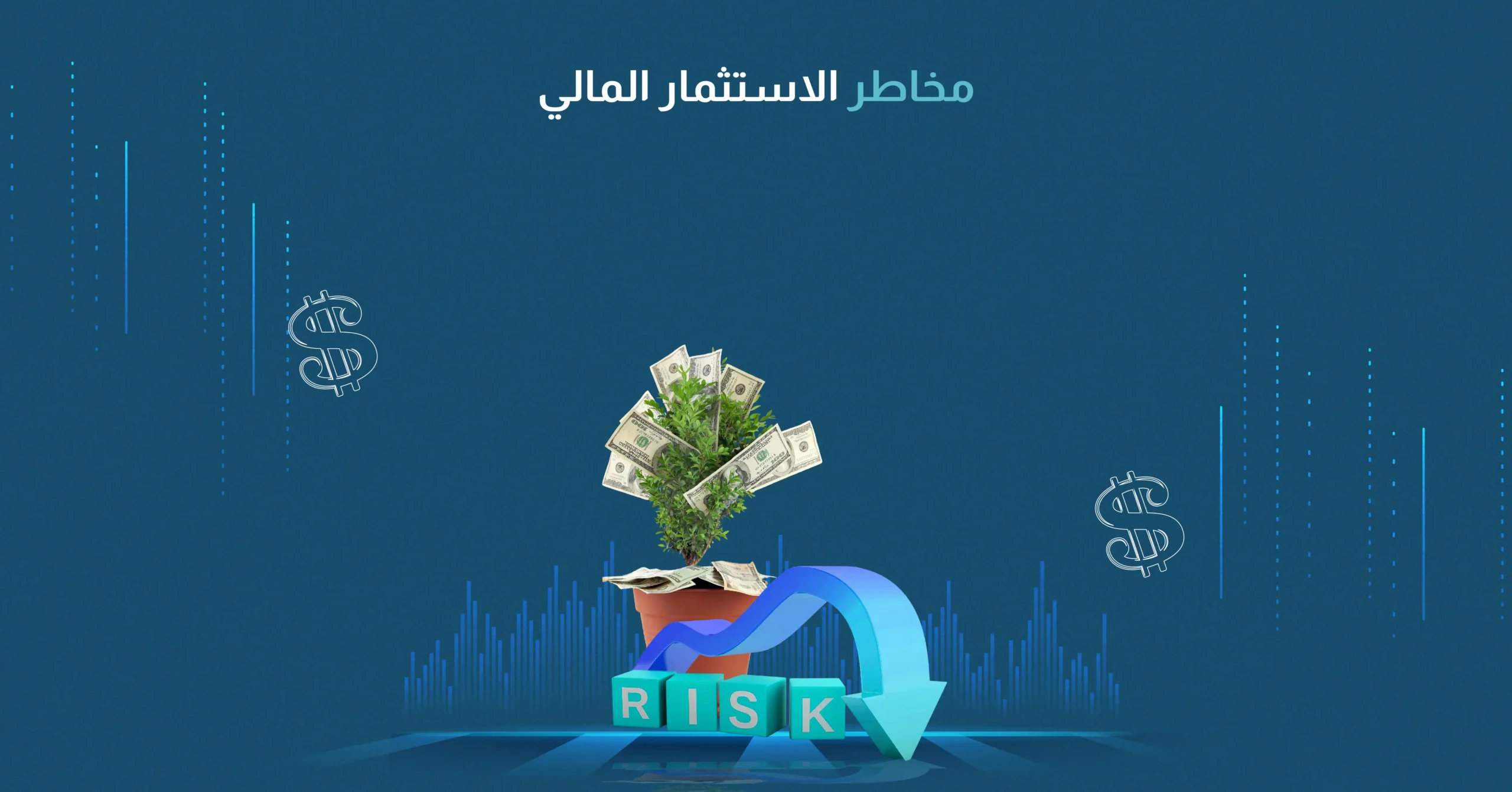 مخاطر الاستثمار المالي​