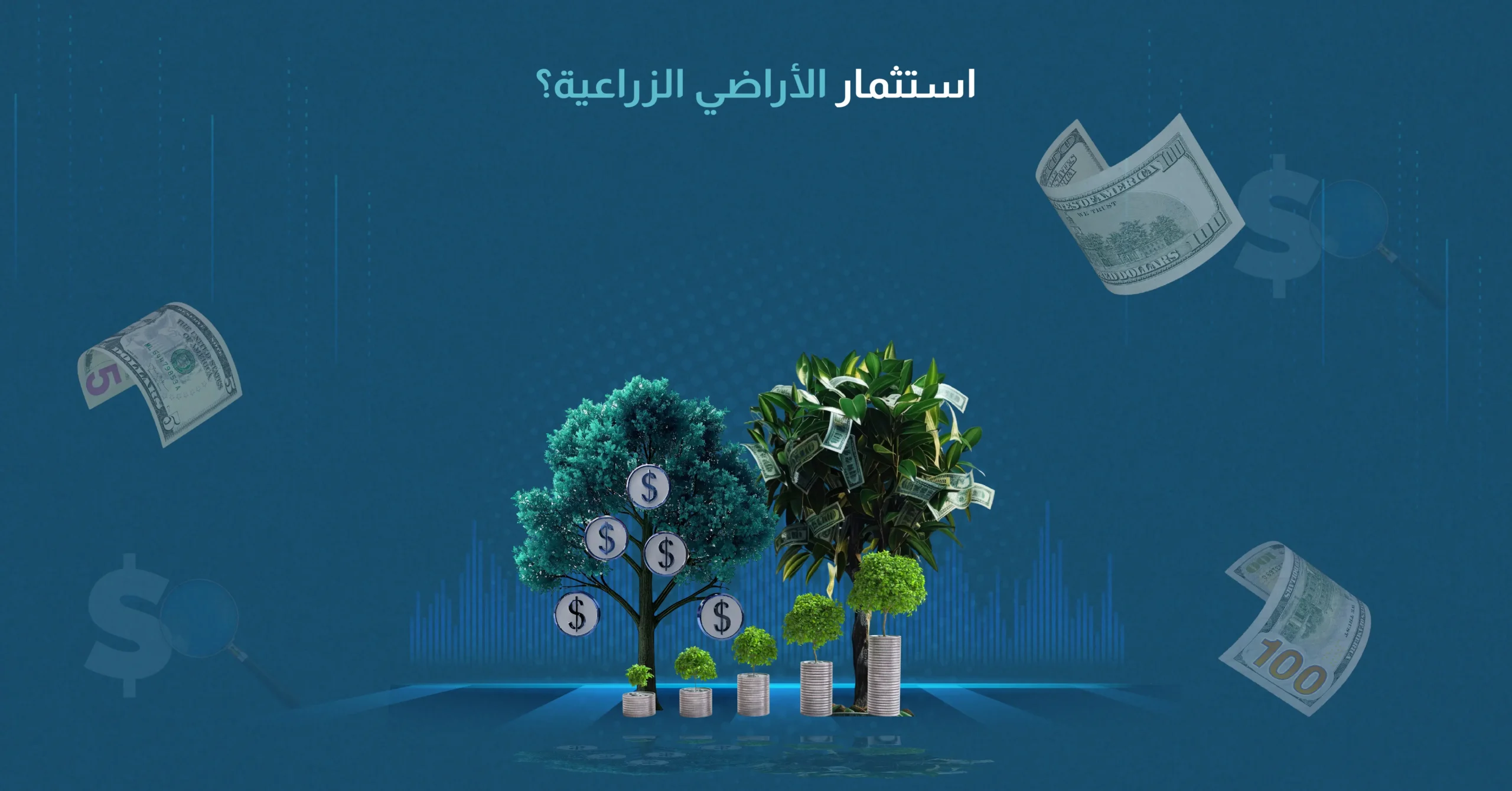 استثمار الأراضي الزراعية