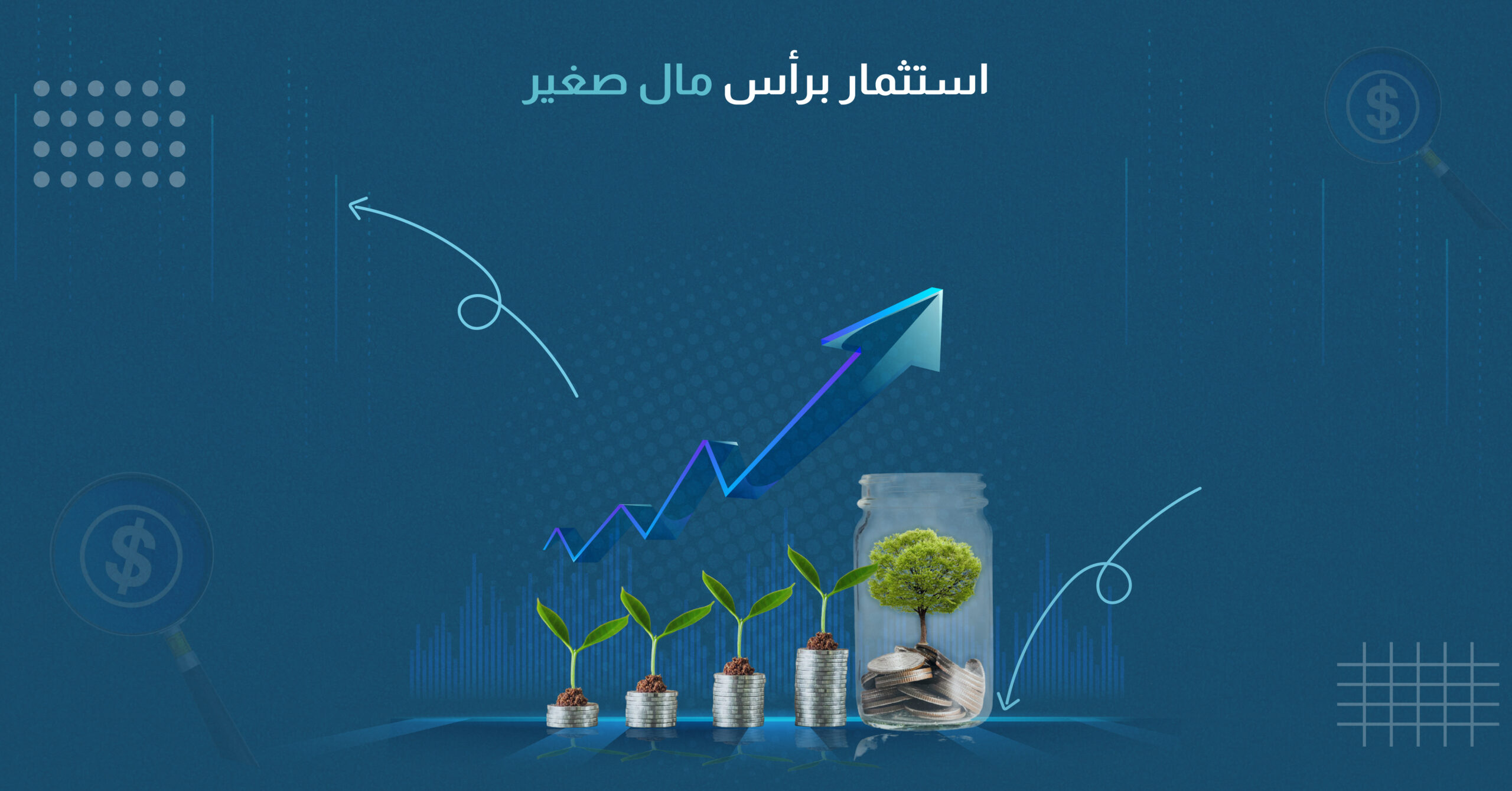 استثمار برأس مال صغير