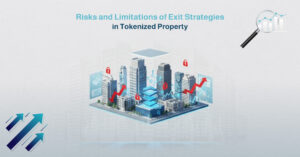 Risks and Limitations of Tokenized property