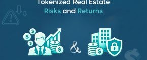 Tokenized Real Estate Risks and Returns