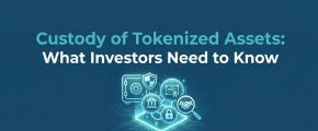 Custody of Tokenized Assets