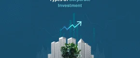 Types of Corporate Investment