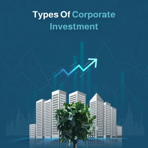 Corporate Investment