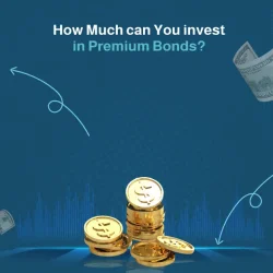 how much can you invest in premium bonds