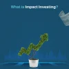 what is impact investing​
