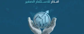 افكار للاستثمار الصغير