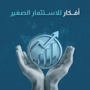 افكار للاستثمار الصغير