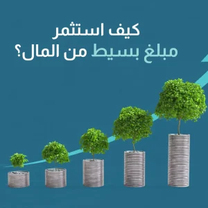 كيف استثمر مبلغ بسيط من المال